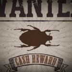 Importance of physical security in sports