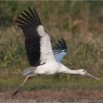 Honeywell introduces next generation of secure building technology solutions