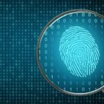 Global CEOs takes a pledge for collective action on cyber resilience