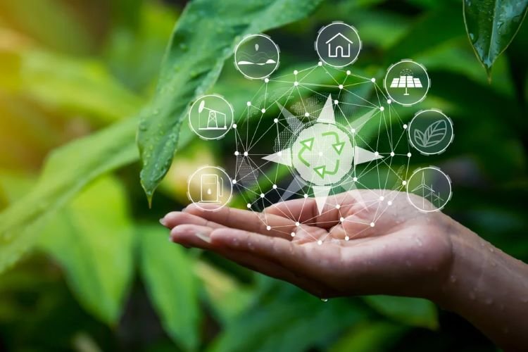 sustainability