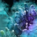 Dallmeier Introduces New Entry-Level Camera Picoline